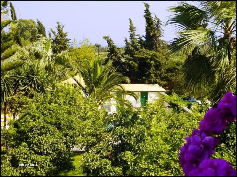 Lemon Garden Hotel Vasilikí Buitenkant foto
